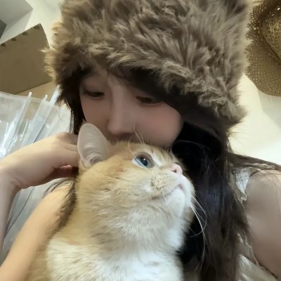 春风满锦城